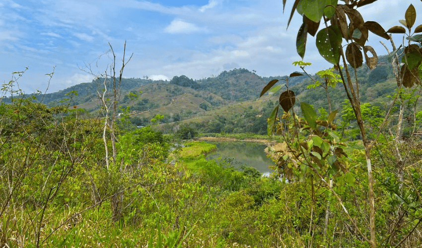 Pacuar, Perez Zeledon, 11909, ,Land,For Sale,Pacuar,1141