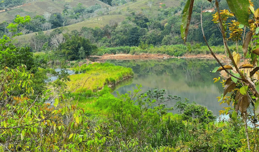 Pacuar, Perez Zeledon, 11909, ,Land,For Sale,Pacuar,1141