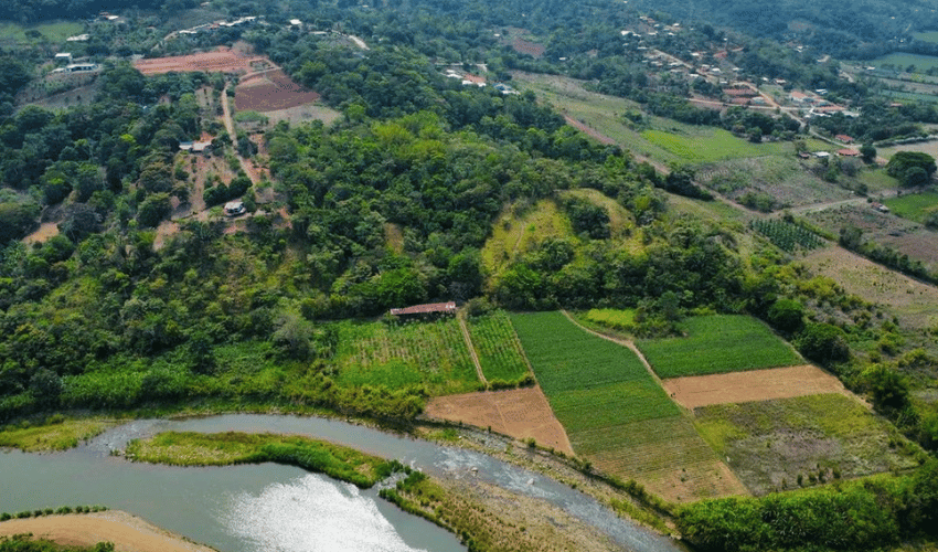 Pacuar, Perez Zeledon, 11909, ,Land,For Sale,Pacuar,1141