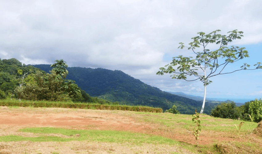 Portalon, Quepos, 60602, ,Land,For Sale,Portalon,1142