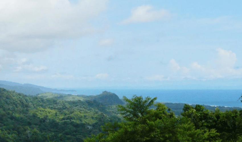 Portalon, Quepos, 60602, ,Land,For Sale,Portalon,1142