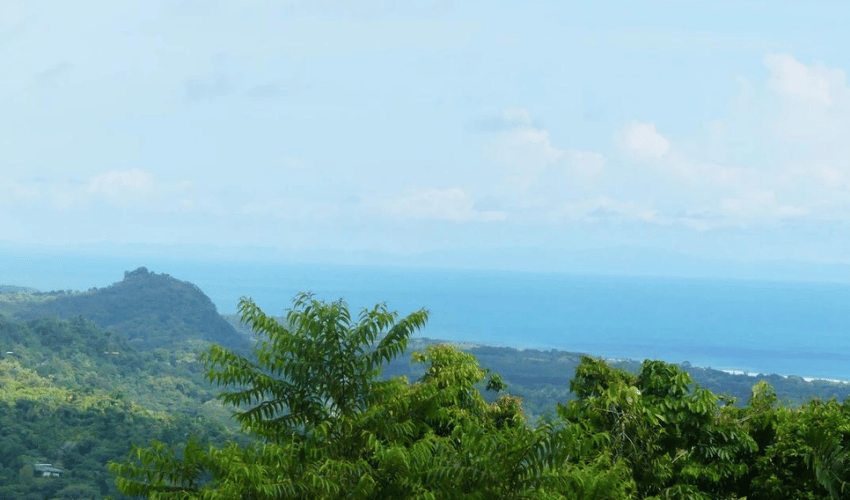 Portalon, Quepos, 60602, ,Land,For Sale,Portalon,1142