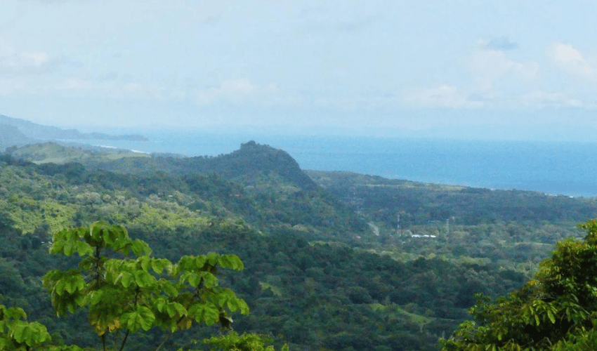 Portalon, Quepos, 60602, ,Land,For Sale,Portalon,1142