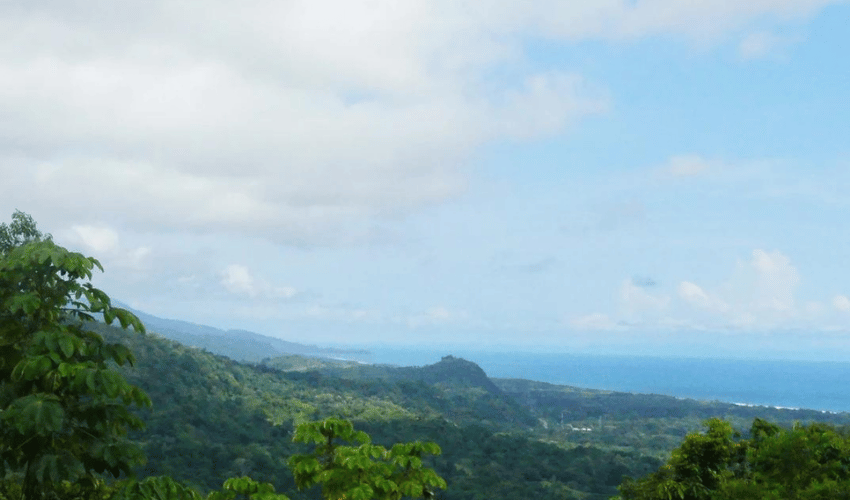 Portalon, Quepos, 60602, ,Land,For Sale,Portalon,1142