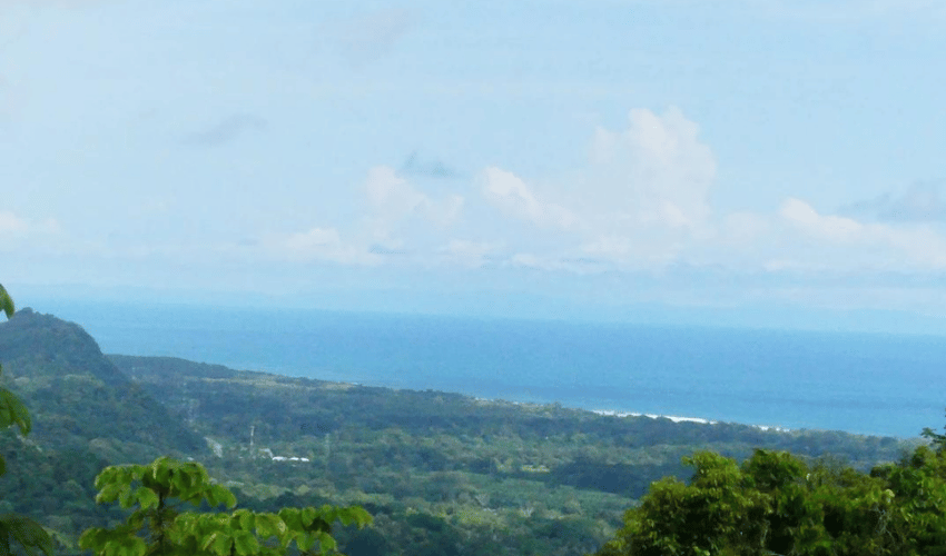 Portalon, Quepos, 60602, ,Land,For Sale,Portalon,1142