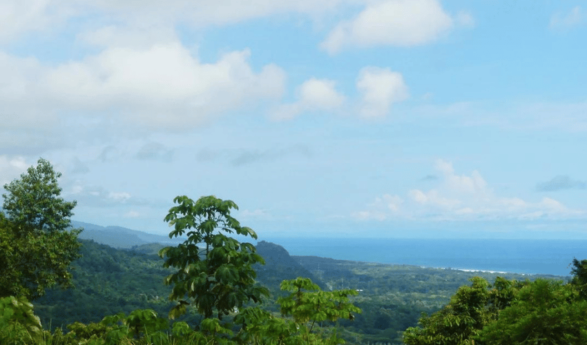 Portalon, Quepos, 60602, ,Land,For Sale,Portalon,1142