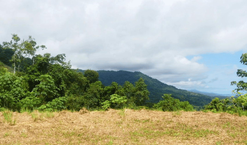 Portalon, Quepos, 60602, ,Land,For Sale,Portalon,1142