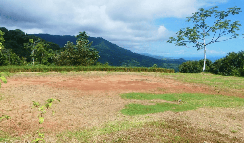 Portalon, Quepos, 60602, ,Land,For Sale,Portalon,1142