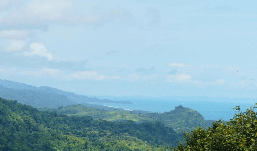 Portalon, Quepos, 60602, ,Land,For Sale,Portalon,1142