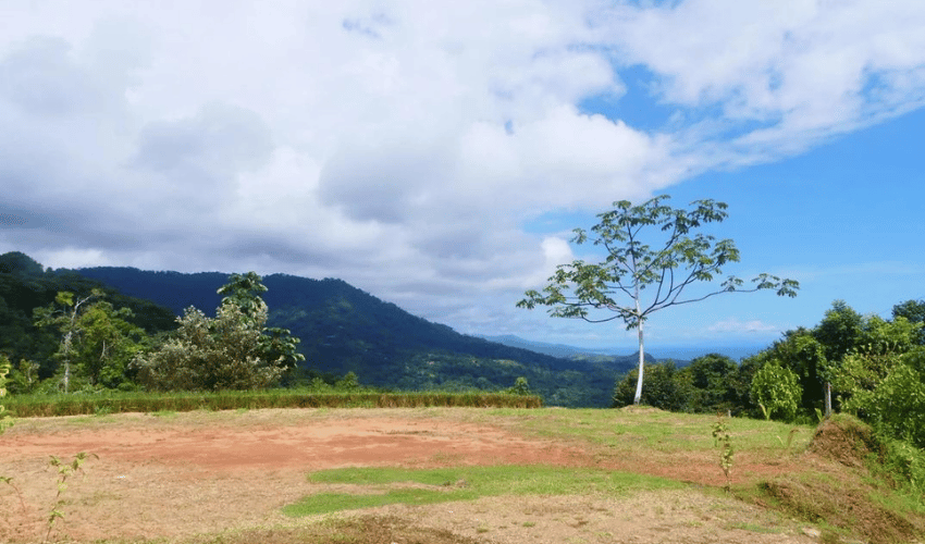 Portalon, Quepos, 60602, ,Land,For Sale,Portalon,1142