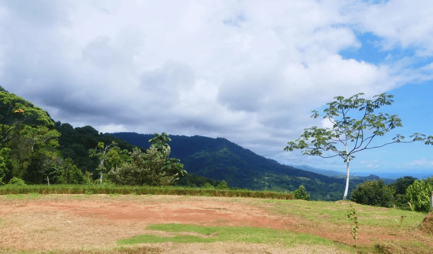 Portalon, Quepos, 60602, ,Land,For Sale,Portalon,1142