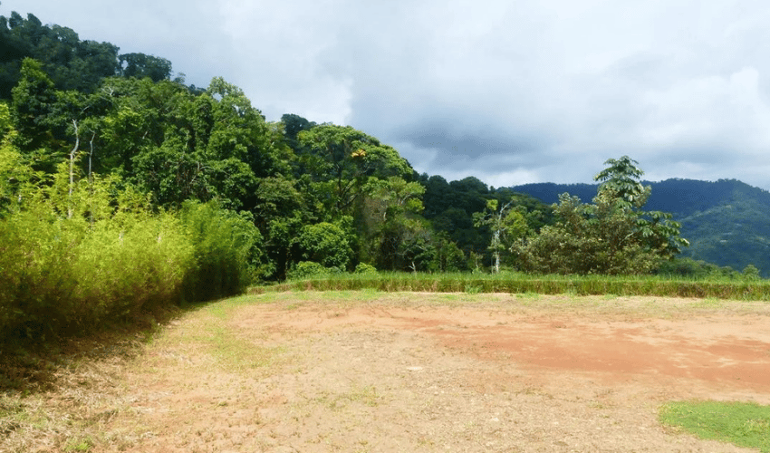 Portalon, Quepos, 60602, ,Land,For Sale,Portalon,1142