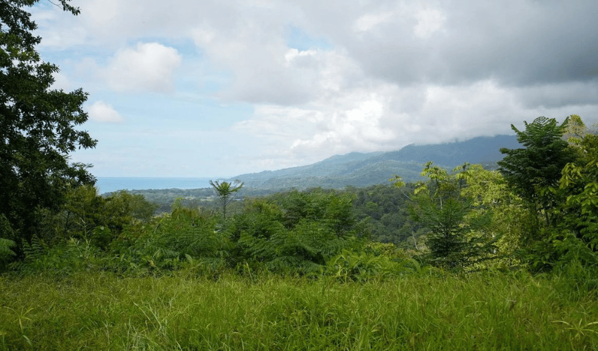 Uvita, Osa, 60504, ,Land,For Sale,Uvita,1143