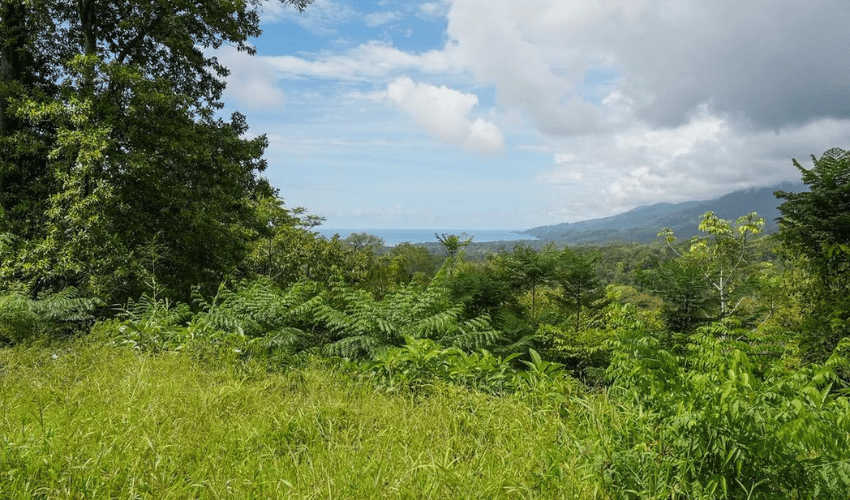 Uvita, Osa, 60504, ,Land,For Sale,Uvita,1143