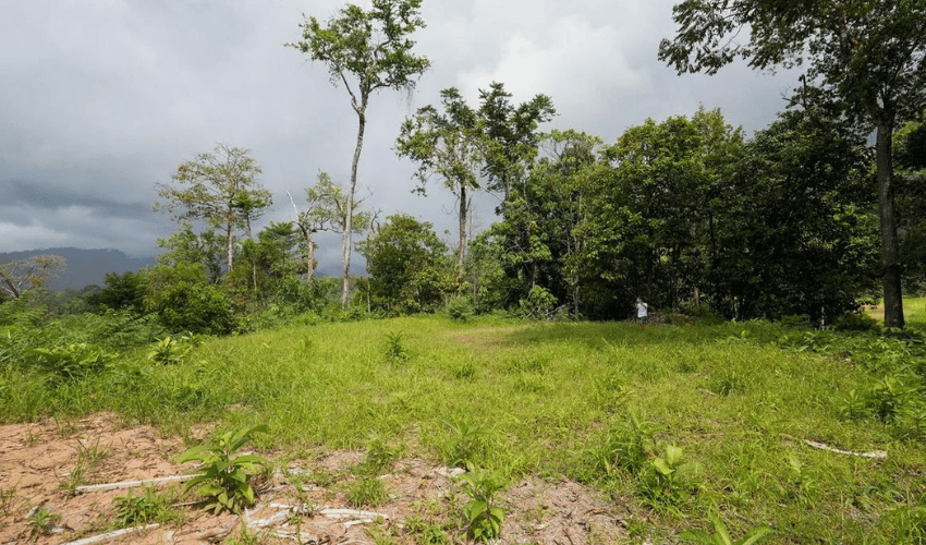 Uvita, Osa, 60504, ,Land,For Sale,Uvita,1143