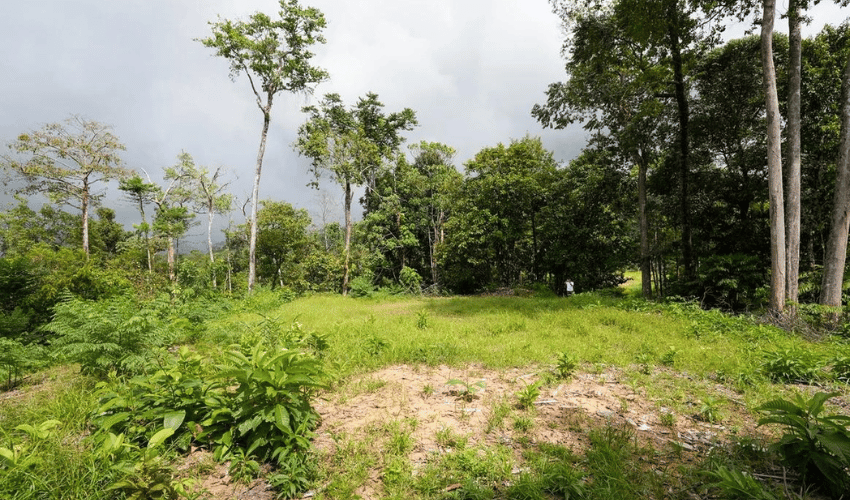 Uvita, Osa, 60504, ,Land,For Sale,Uvita,1143