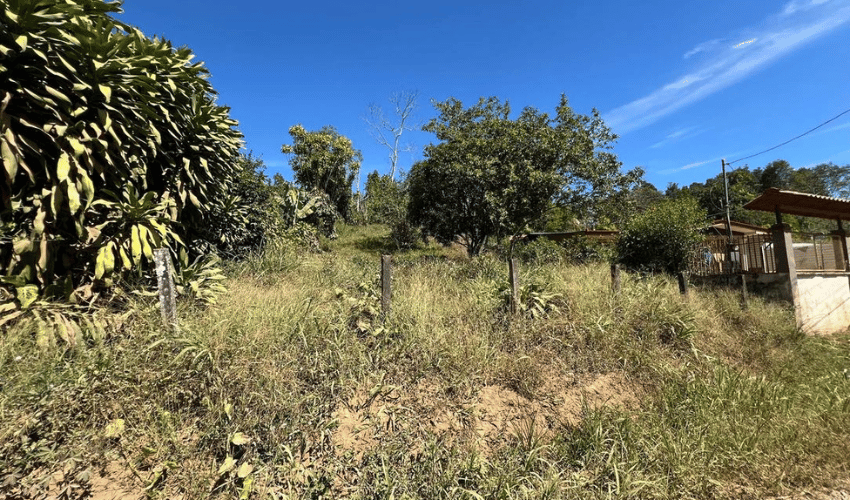 Perez Zeledon, San Isidro, 11901, ,Land,For Sale,Perez Zeledon,1145