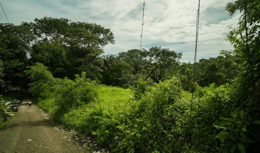 Playa Hermosa, Osa, 60504, ,Land,For Sale,Playa Hermosa,1146