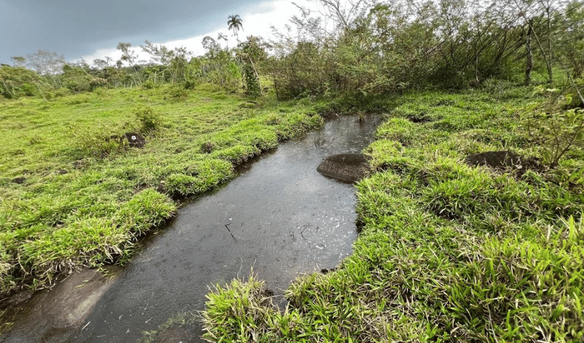 Santa Teresa, Perez Zeledon, 11901, ,Land,For Sale,Santa Teresa,1151