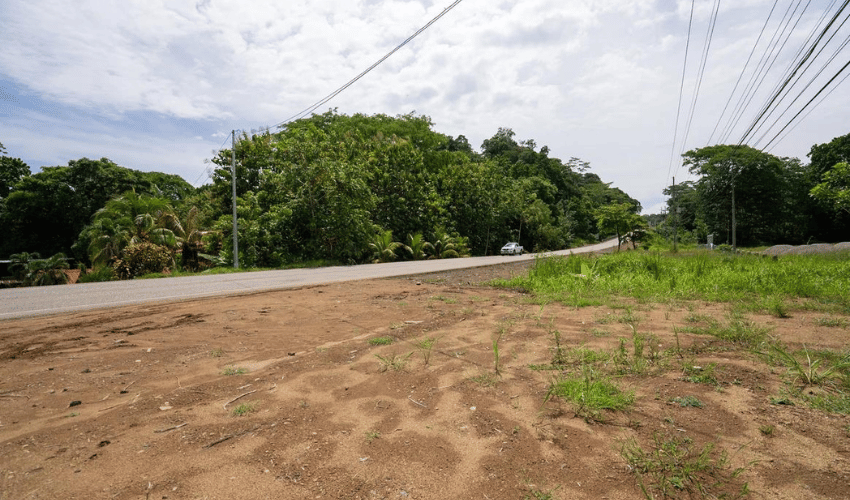 Ojochal, Osa, 60501, ,Commercial,For Sale,Ojochal,1153