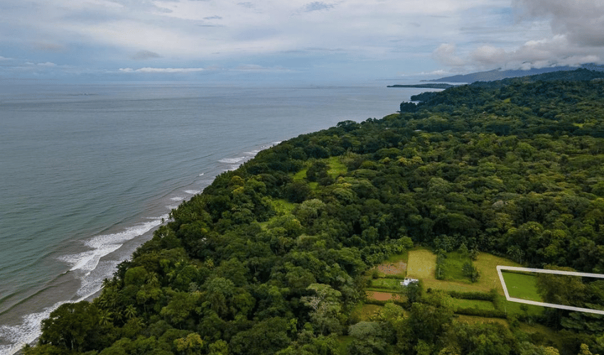 Uvita, Osa, 60504, ,Land,For Sale,Uvita,1155