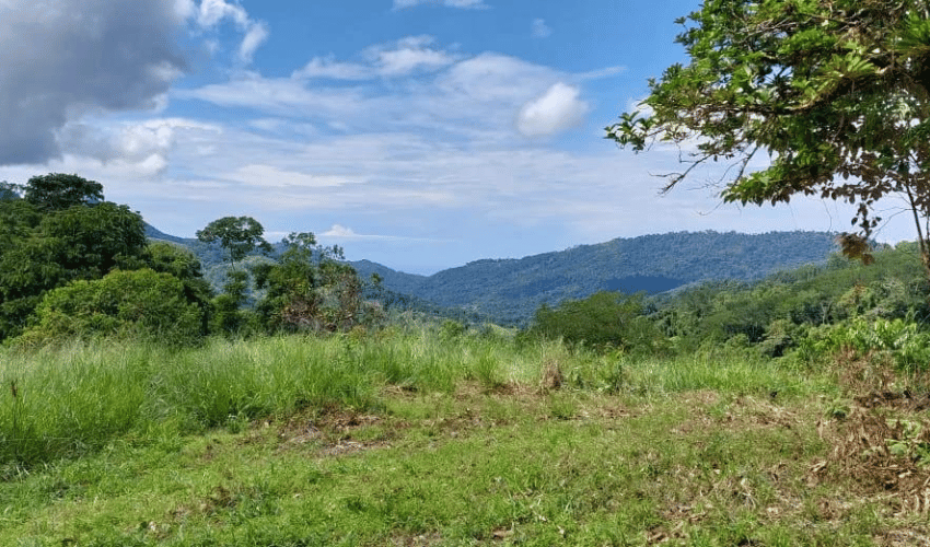 Dos Bocas, Quepos, 60602, ,Land,For Sale,Dos Bocas,1156