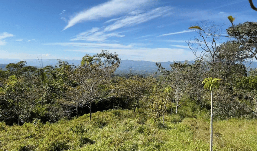 General Viejo, Perez Zeledon, 11902, ,Land,For Sale,General Viejo,1157