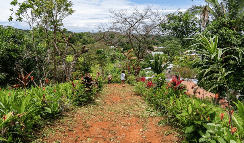 Uvita, Osa, 60504, ,Land,For Sale,Uvita,1158