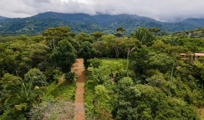 Uvita, Osa, 60504, ,Land,For Sale,Uvita,1158