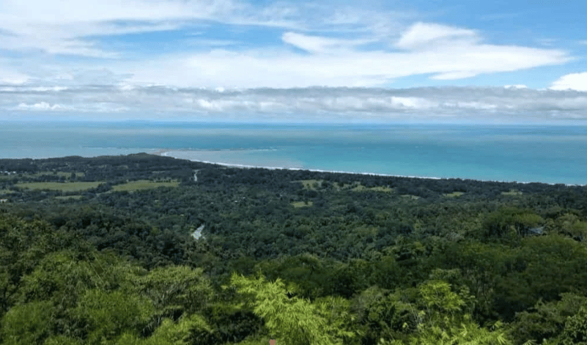 Uvita, Osa, 60504, ,Land,For Sale,Uvita,1159