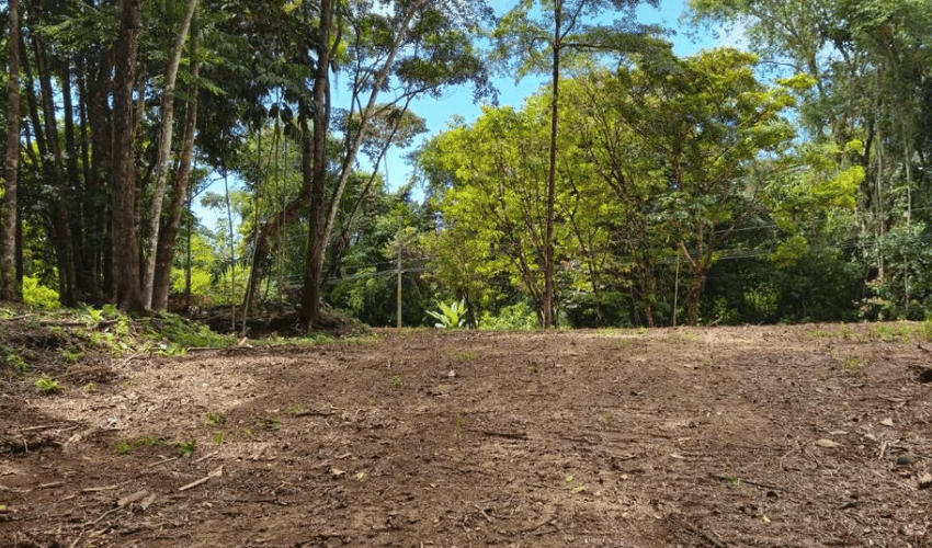 Uvita, Osa, 60504, ,Land,For Sale,Uvita,1160