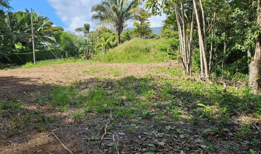 Uvita, Osa, 60504, ,Land,For Sale,Uvita,1160