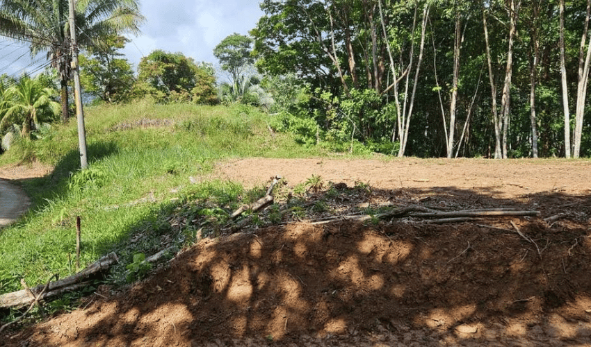 Uvita, Osa, 60504, ,Land,For Sale,Uvita,1160