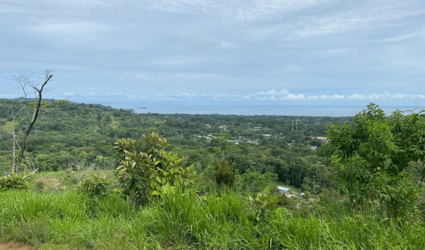 Uvita, Osa, 60504, ,Land,For Sale,Uvita,1161