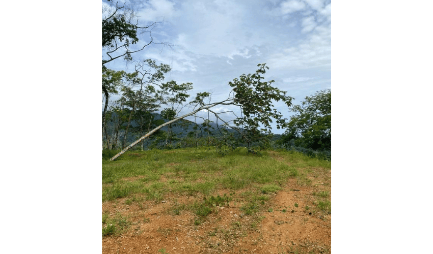 Uvita, Osa, 60504, ,Land,For Sale,Uvita,1161