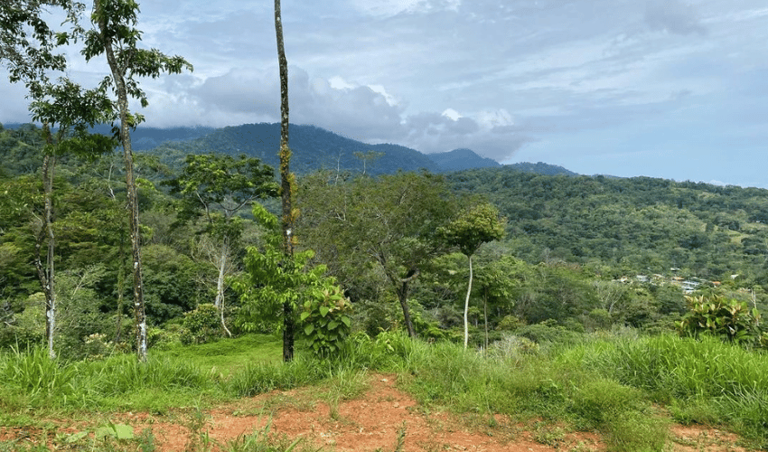 Uvita, Osa, 60504, ,Land,For Sale,Uvita,1161