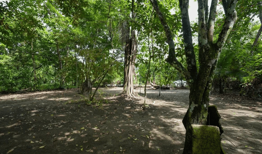 Plata Matapalo, Quepos, 11909, ,Land,For Sale,Plata Matapalo,1162