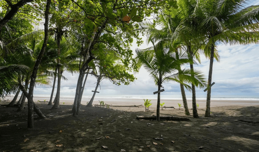 Plata Matapalo, Quepos, 11909, ,Land,For Sale,Plata Matapalo,1162