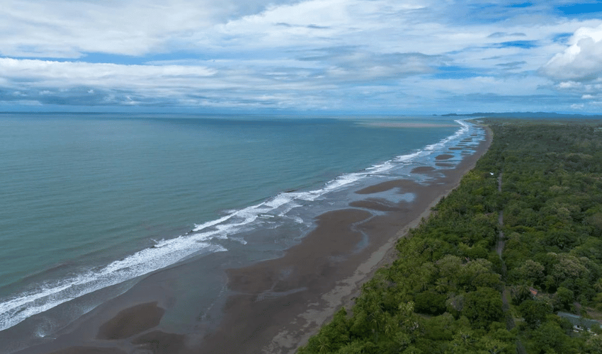 Plata Matapalo, Quepos, 11909, ,Land,For Sale,Plata Matapalo,1162