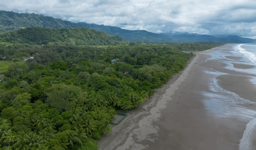 Plata Matapalo, Quepos, 11909, ,Land,For Sale,Plata Matapalo,1162