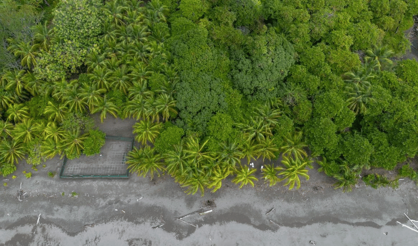 Plata Matapalo, Quepos, 11909, ,Land,For Sale,Plata Matapalo,1162