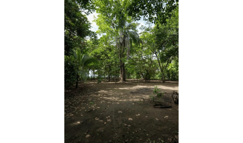 Plata Matapalo, Quepos, 11909, ,Land,For Sale,Plata Matapalo,1162