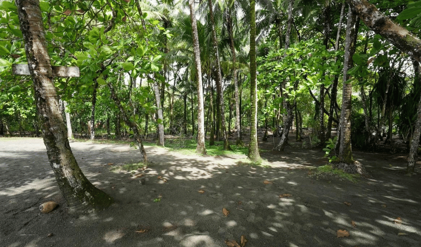 Plata Matapalo, Quepos, 11909, ,Land,For Sale,Plata Matapalo,1162