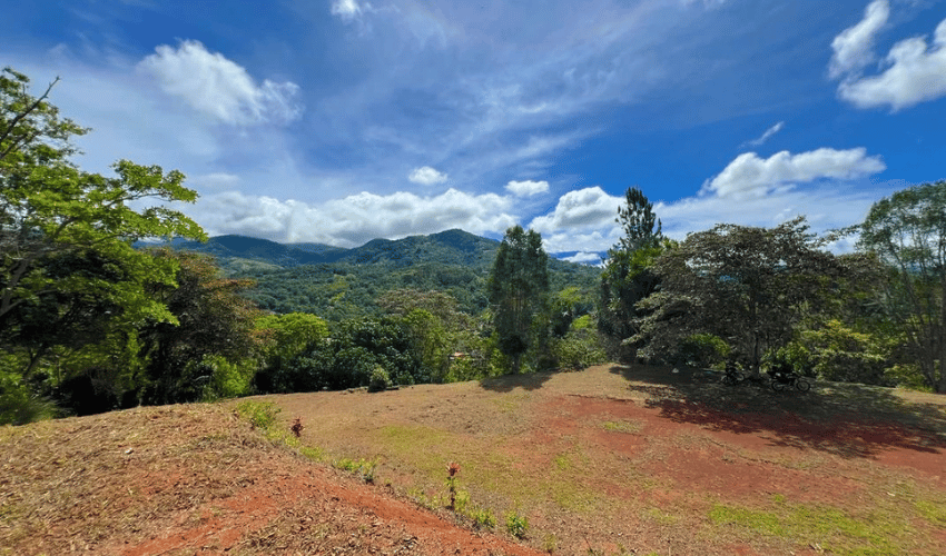 Quebradas, Perez Zeledon, 11902, ,Land,For Sale,Quebradas,1163