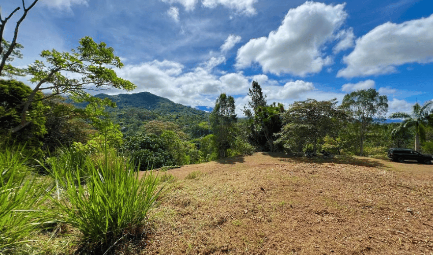 Quebradas, Perez Zeledon, 11902, ,Land,For Sale,Quebradas,1163