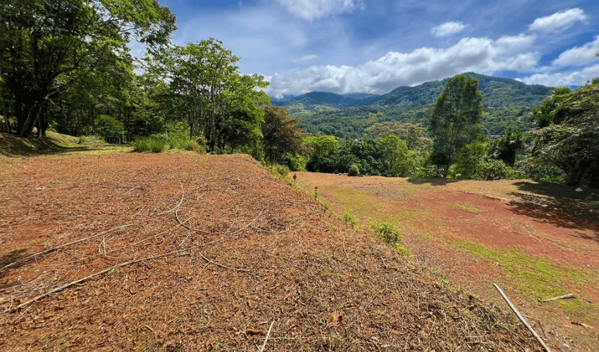 Quebradas, Perez Zeledon, 11902, ,Land,For Sale,Quebradas,1163