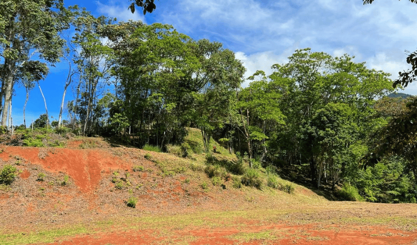 Quebradas, Perez Zeledon, 11902, ,Land,For Sale,Quebradas,1163