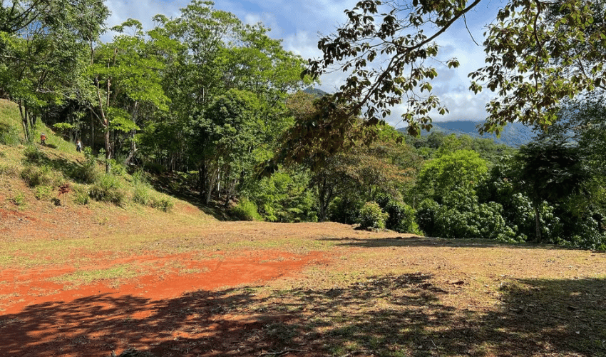 Quebradas, Perez Zeledon, 11902, ,Land,For Sale,Quebradas,1163