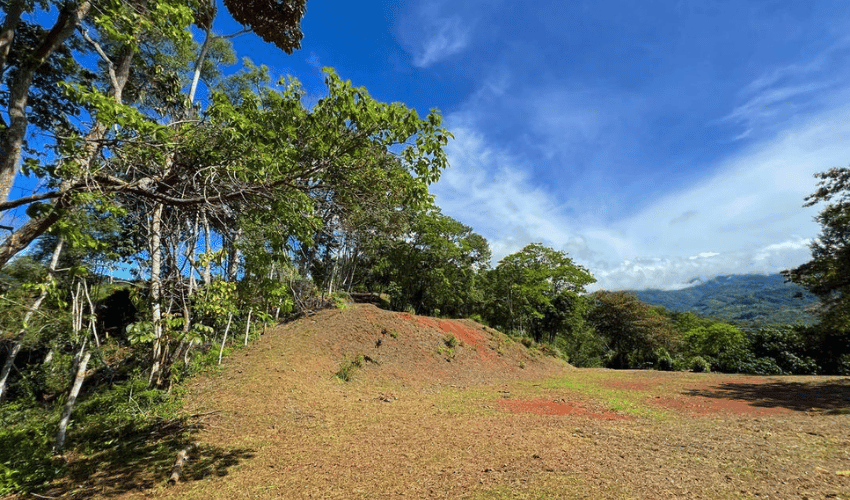 Quebradas, Perez Zeledon, 11902, ,Land,For Sale,Quebradas,1163