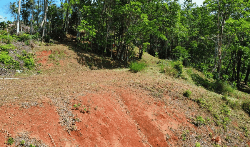 Quebradas, Perez Zeledon, 11902, ,Land,For Sale,Quebradas,1163